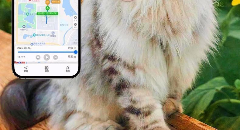 Pet GPS Tracker Collar for Cats and Dogs