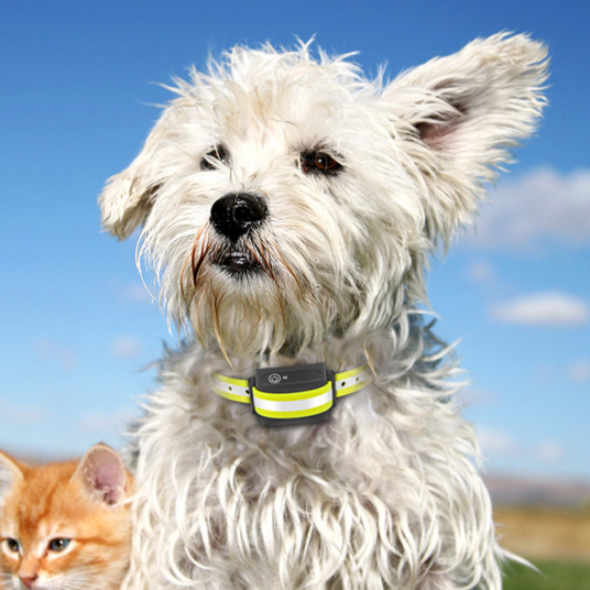 Waterproof Remote Dog Training Collar
