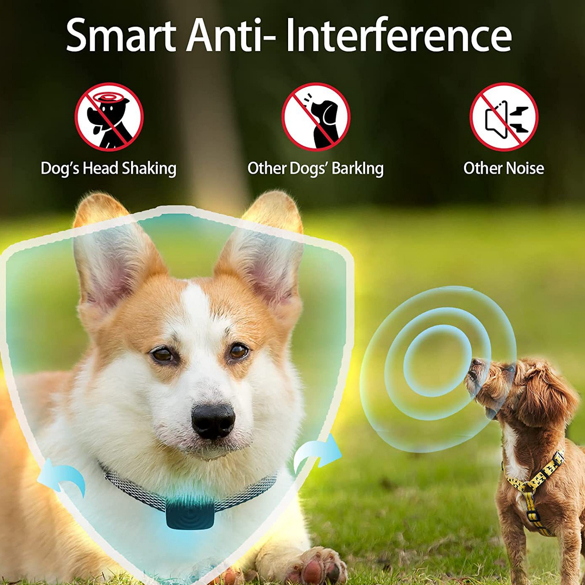 Rechargeable Anti-Bark Training Device