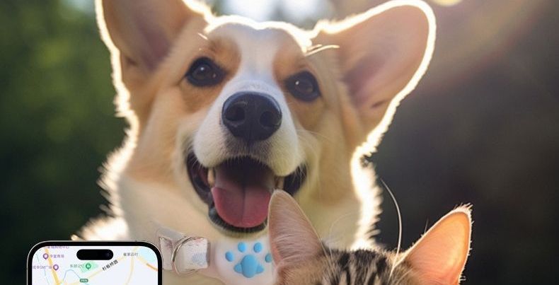 Pet GPS Tracker Collar for Cats and Dogs