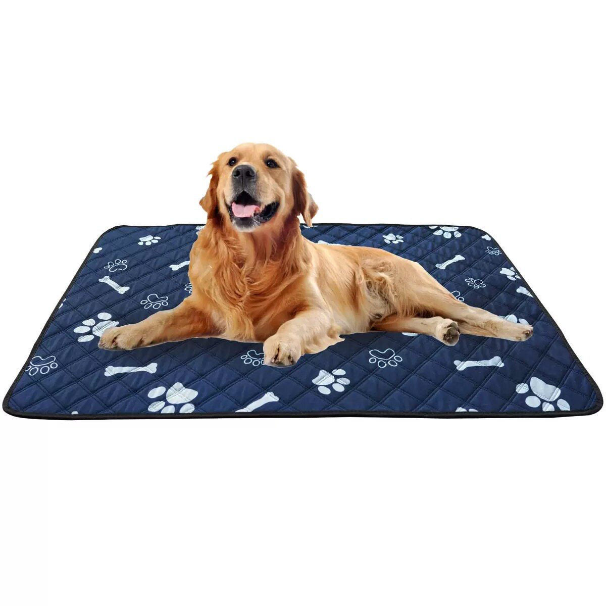 Washable Absorbent Pet Training Mat