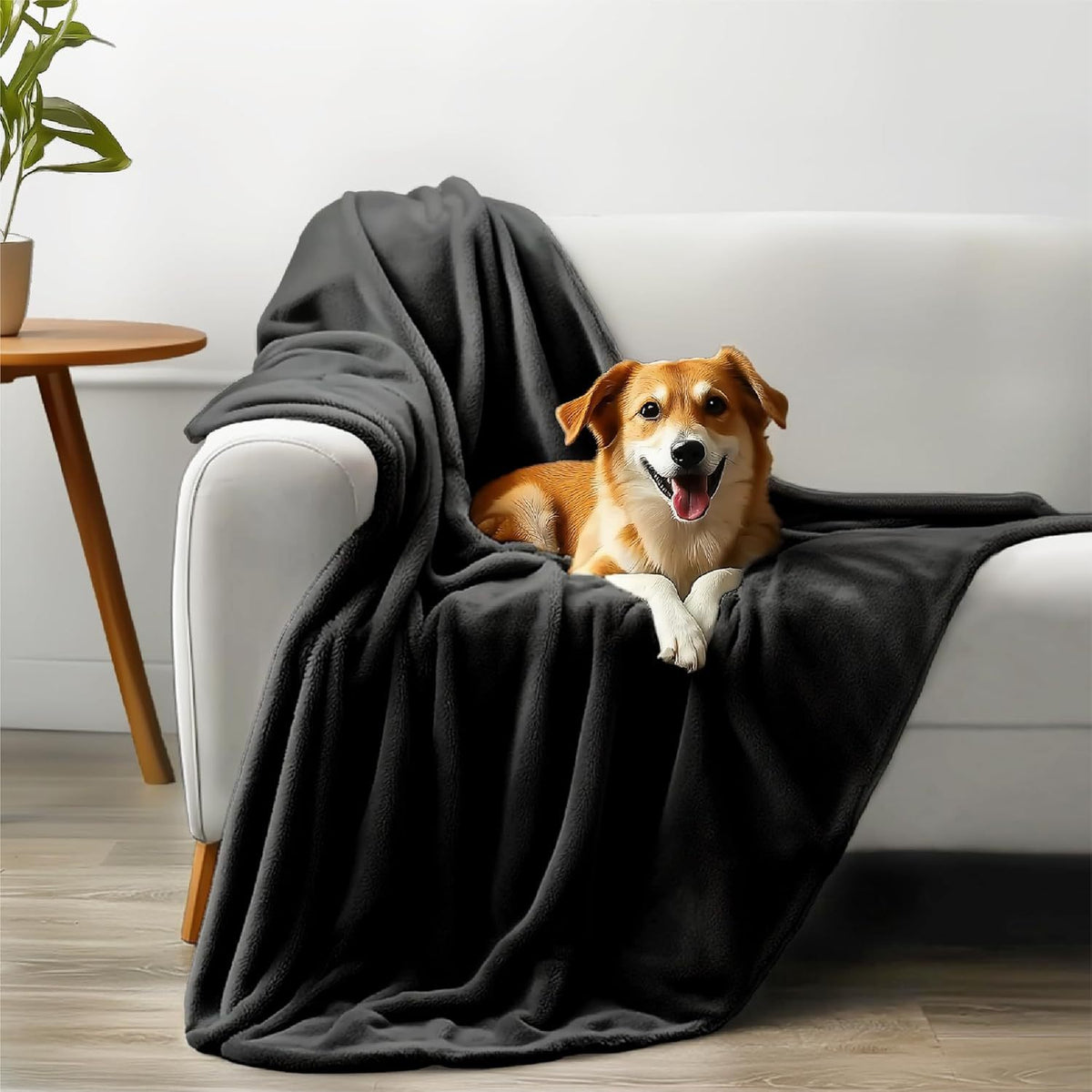 Waterproof Dual-Sided Flannel Pet Blanket
