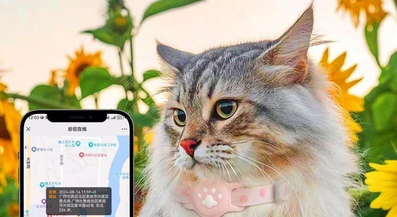 Pet GPS Tracker Collar for Cats and Dogs