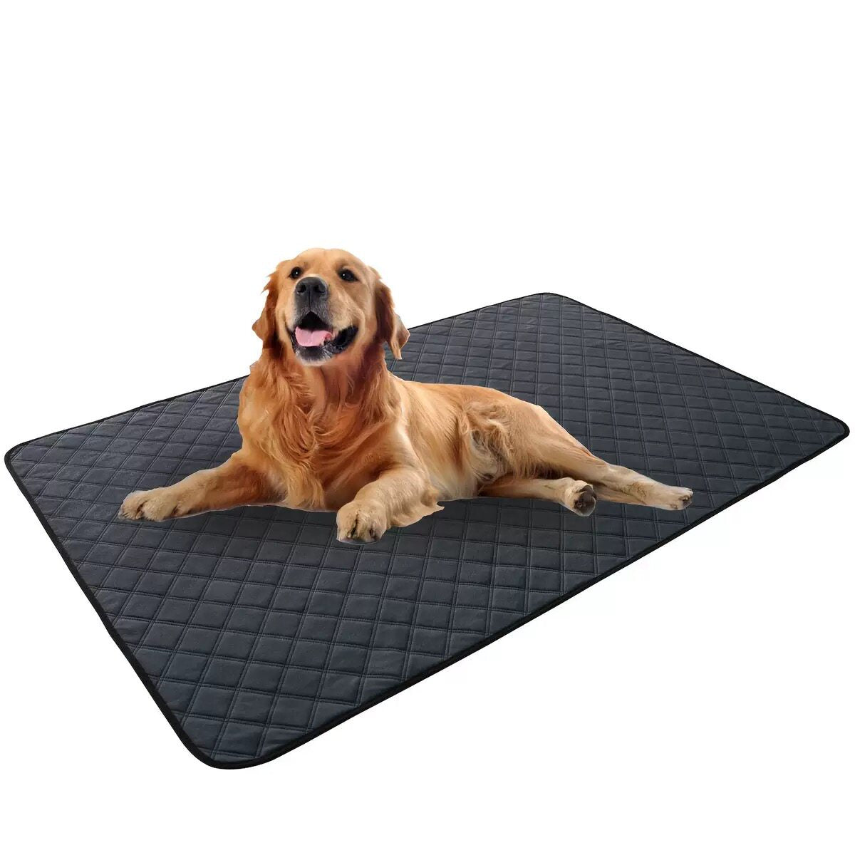 Washable Absorbent Pet Training Mat